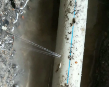 泉州市卫生间测漏水多少钱