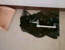 泉州市卫生间测漏水多少钱